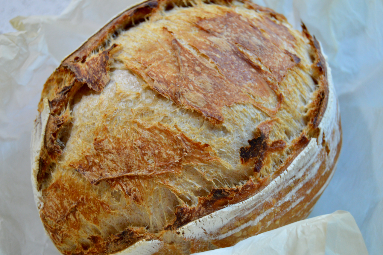 Join me in making sourdough bread to enjoy the benefits of sourdough for your health and delicious artisan bread from the comfort of your own home.