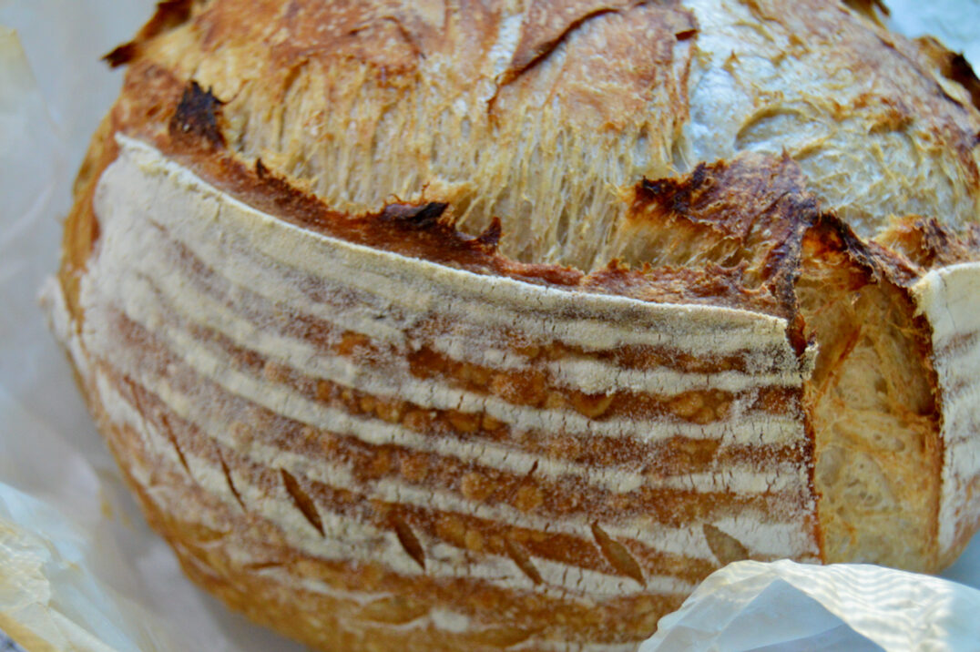 Artisan sourdough bread, the benefits of sourdough are greater than store-bought bread!