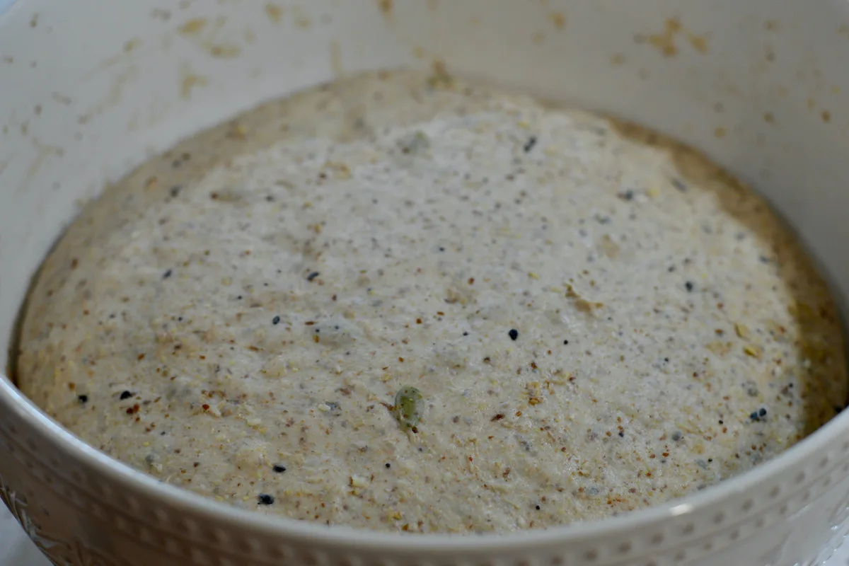 sourdough dough risen in large bowl